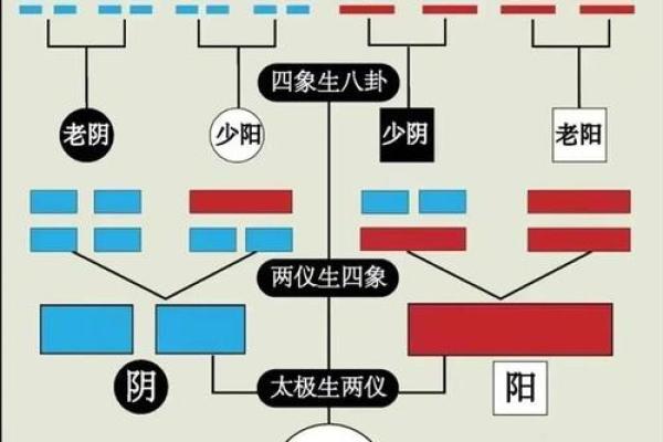 底多面解种植成与pc28预测析费牙到一颗用构影响因素全少钱